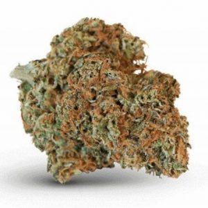 Buy ACDC Marijuana Strain