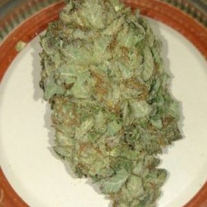 Buy Jack Herer Marijuana Strain
