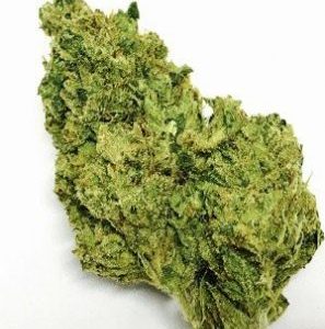Buy OG Chem Marijuana Strain