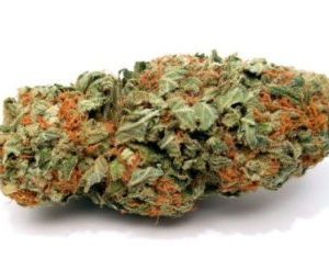 Buy Pink Kush Marijuana strain