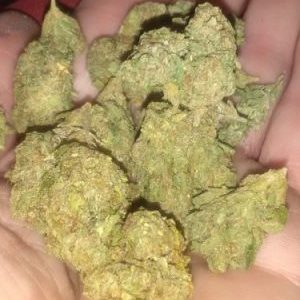 White Fire OG (WiFi OG) Marijuana Strain