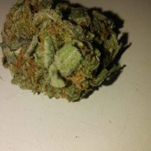 gorilla glue #5 marijuana strain